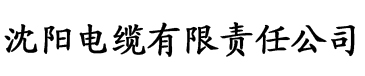 亚洲欧美熟妇另类久久久电缆厂logo